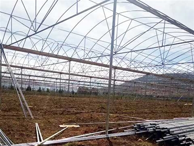 紅河州瀘西的李師，建造3600平方的蔬菜大棚。
