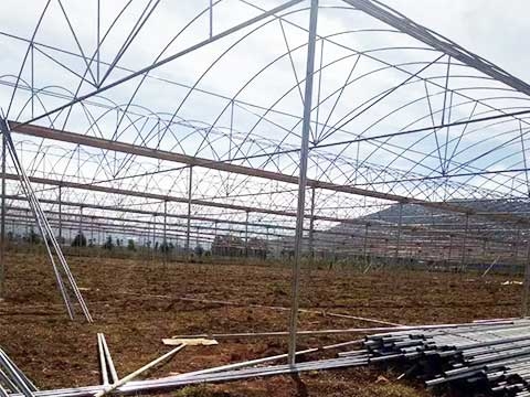 紅河州瀘西的李師，建造3600平方的蔬菜大棚。