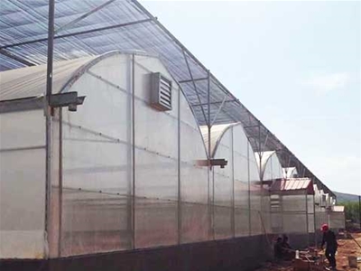 玉溪通海的范總，建造25000平方的鋼架大棚，種植蔬菜。