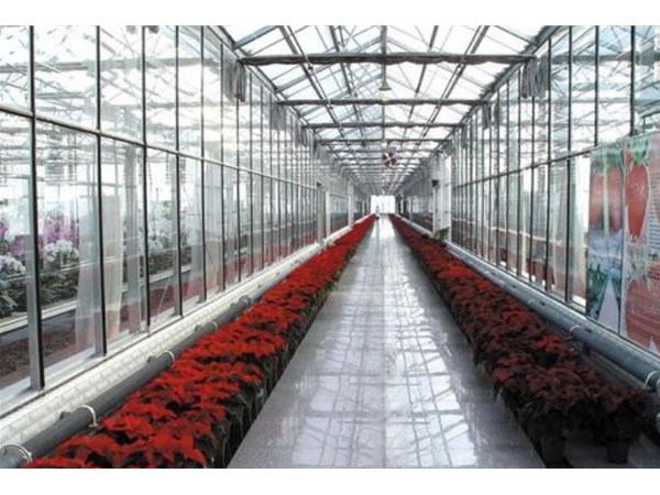 云南宏陽溫室溫室工程設計_玻璃溫室大棚建設廠家